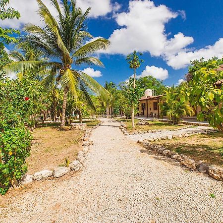 Posada Palmar باكالار المظهر الخارجي الصورة